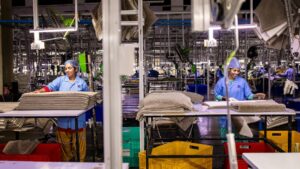 Indian skilled workers contributing to global workforce across industries