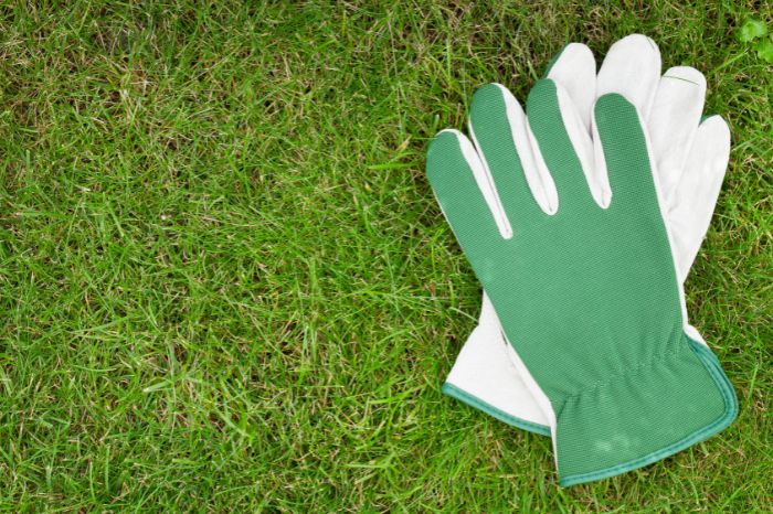 Pair of gardening gloves placed on a green grass.