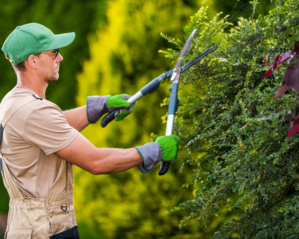 Eco-friendly green sustainability